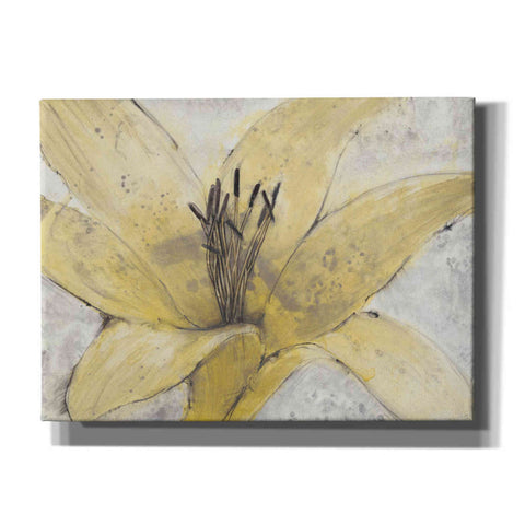 Image of 'Transparency Flower I' by Tim O'Toole, Canvas Wall Art
