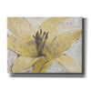 'Transparency Flower I' by Tim O'Toole, Canvas Wall Art