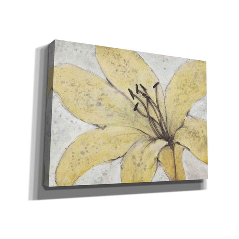 Image of 'Transparency Flower II' by Tim O'Toole, Canvas Wall Art