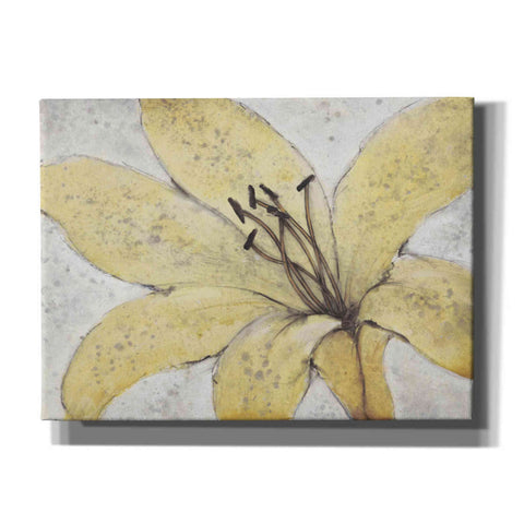 Image of 'Transparency Flower II' by Tim O'Toole, Canvas Wall Art