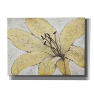 'Transparency Flower II' by Tim O'Toole, Canvas Wall Art