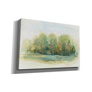 'Forest Vignette I' by Tim O'Toole, Canvas Wall Art