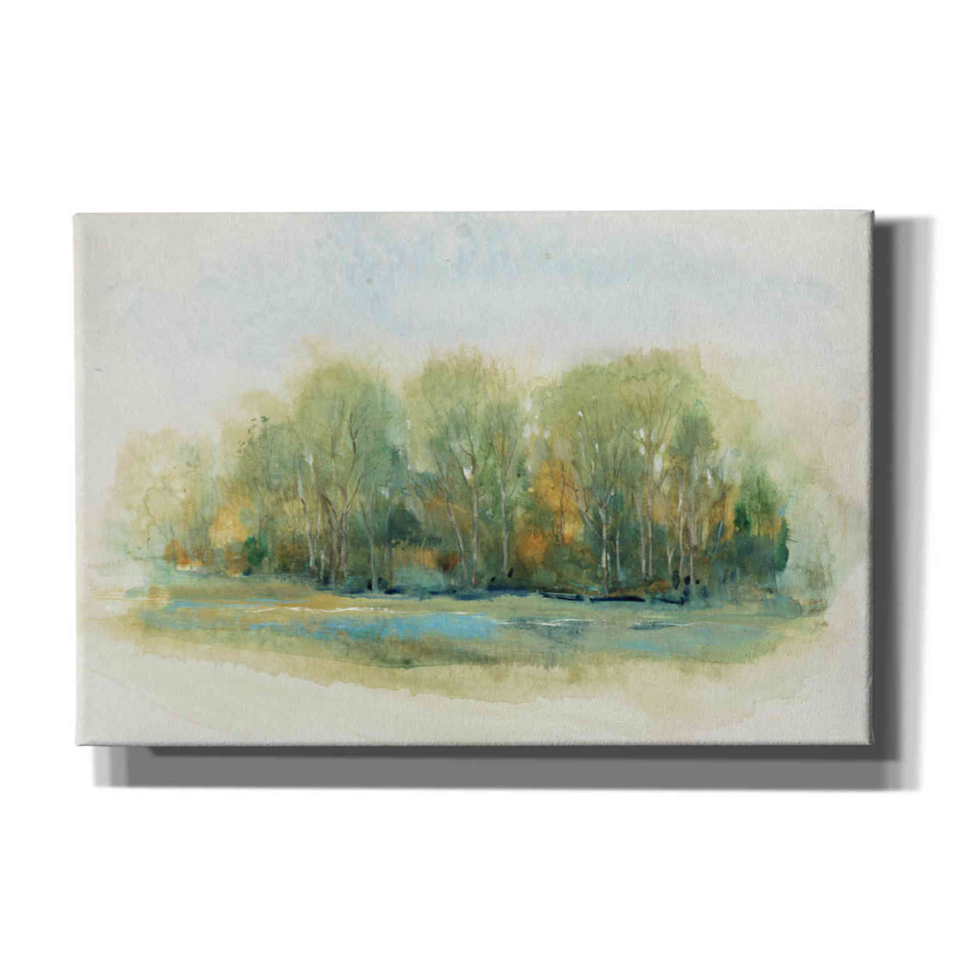 'Forest Vignette I' by Tim O'Toole, Canvas Wall Art