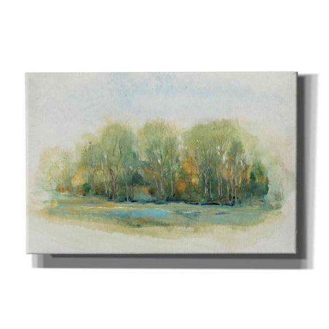 Image of 'Forest Vignette I' by Tim O'Toole, Canvas Wall Art