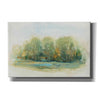 'Forest Vignette I' by Tim O'Toole, Canvas Wall Art