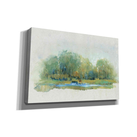 Image of 'Forest Vignette II' by Tim O'Toole, Canvas Wall Art