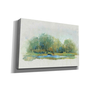 'Forest Vignette II' by Tim O'Toole, Canvas Wall Art