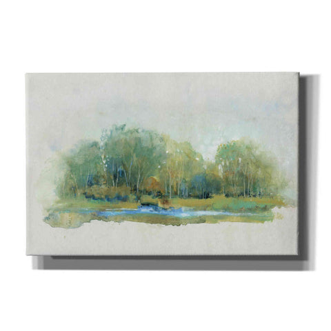 Image of 'Forest Vignette II' by Tim O'Toole, Canvas Wall Art