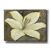 'Neutral Lily II' by Tim O'Toole, Canvas Wall Art