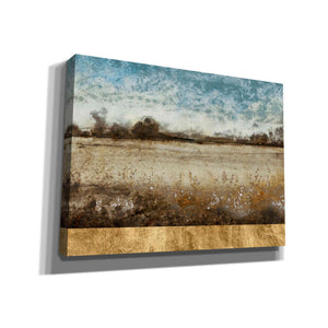 'Infinite Pasture' by Tim O'Toole, Canvas Wall Art
