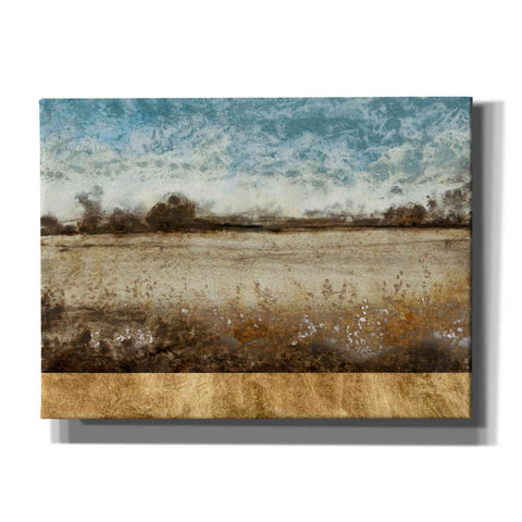 Image of 'Infinite Pasture' by Tim O'Toole, Canvas Wall Art