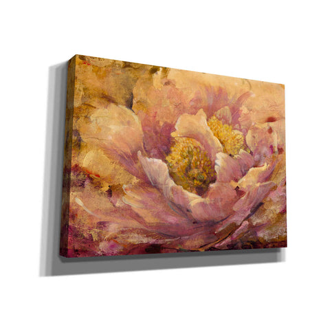 Image of 'Floral in Bloom I' by Tim O'Toole, Canvas Wall Art