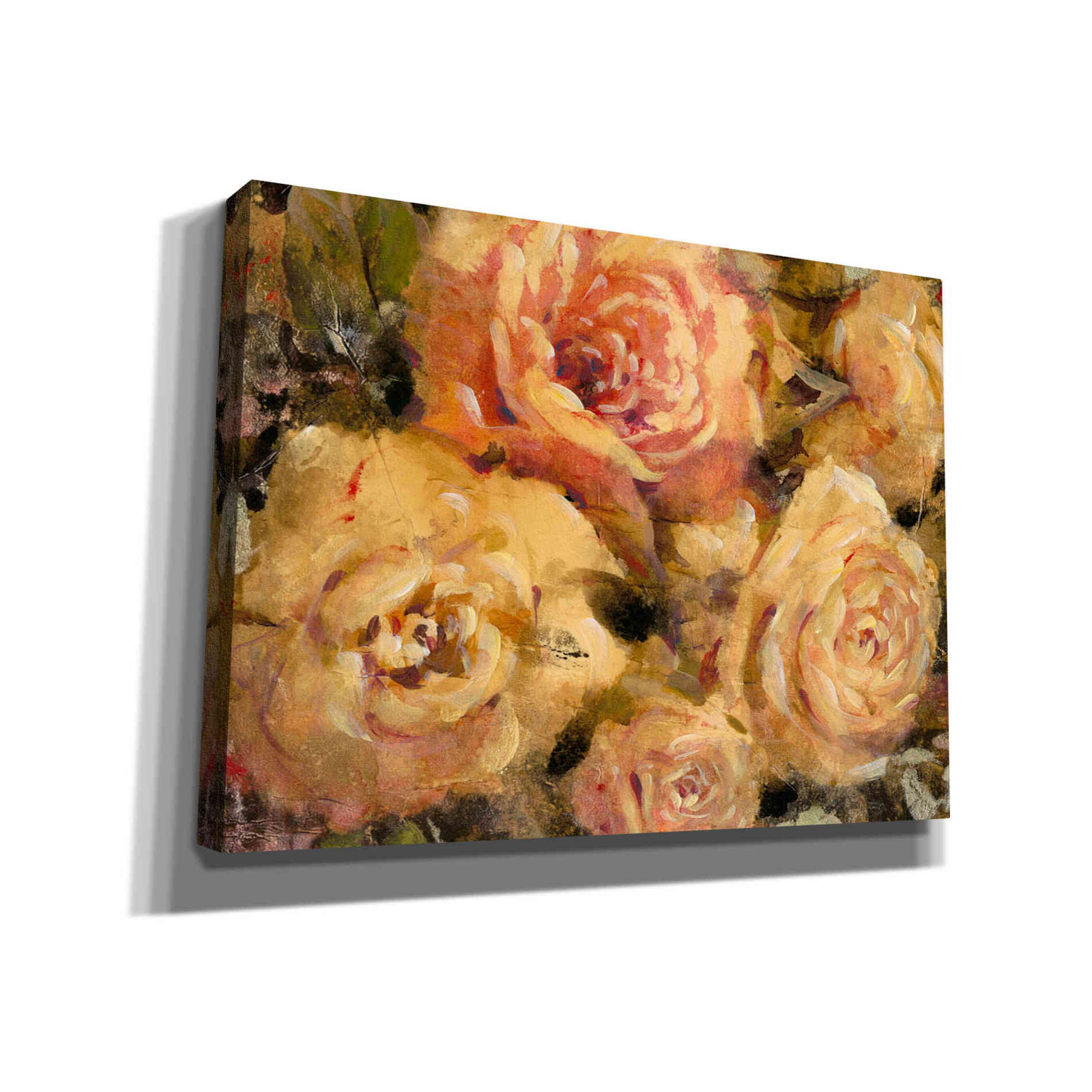 'Floral in Bloom II' by Tim O'Toole, Canvas Wall Art