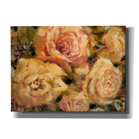Image of 'Floral in Bloom II' by Tim O'Toole, Canvas Wall Art