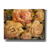 'Floral in Bloom II' by Tim O'Toole, Canvas Wall Art