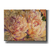 'Floral in Bloom III' by Tim O'Toole, Canvas Wall Art