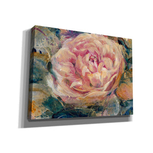 'Floral in Bloom IV' by Tim O'Toole, Canvas Wall Art