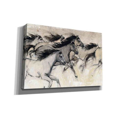 Image of 'Horses in Motion I' by Tim O'Toole, Canvas Wall Art