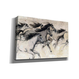 'Horses in Motion I' by Tim O'Toole, Canvas Wall Art