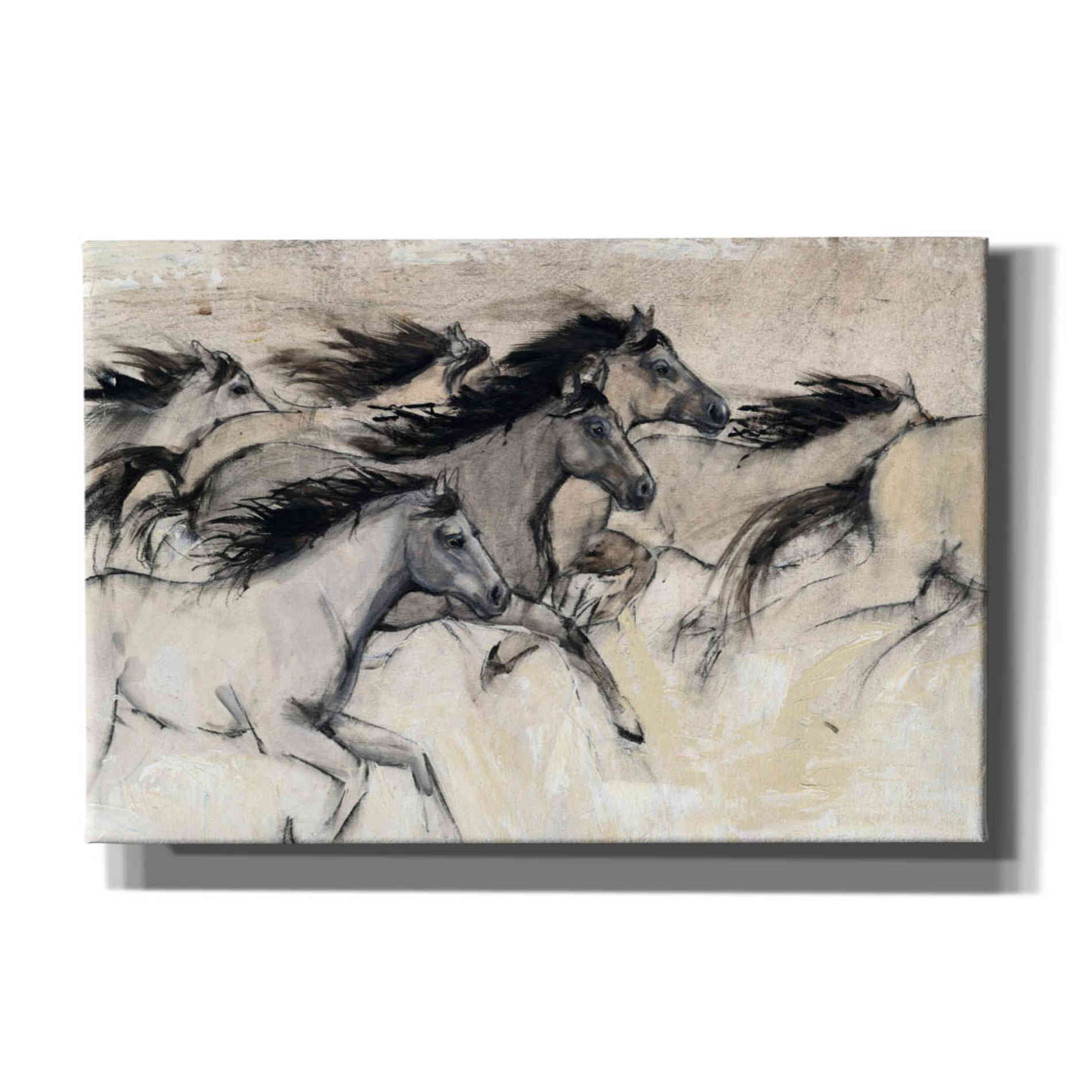'Horses in Motion I' by Tim O'Toole, Canvas Wall Art