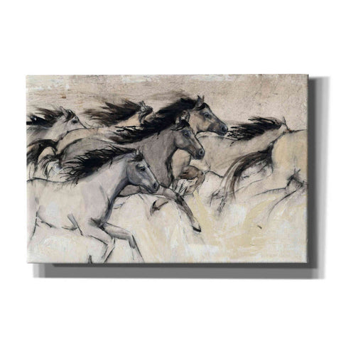 Image of 'Horses in Motion I' by Tim O'Toole, Canvas Wall Art