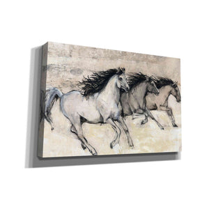 'Horses in Motion II' by Tim O'Toole, Canvas Wall Art