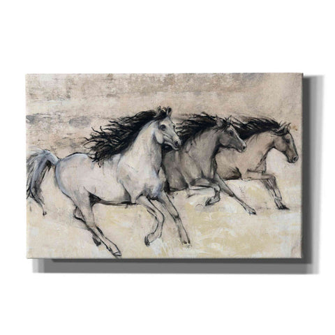 Image of 'Horses in Motion II' by Tim O'Toole, Canvas Wall Art