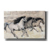 'Horses in Motion II' by Tim O'Toole, Canvas Wall Art