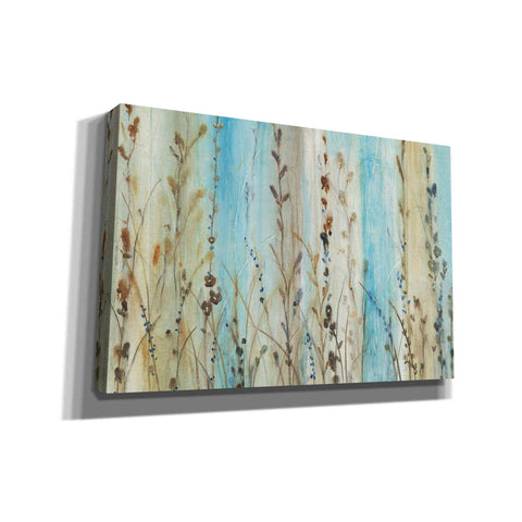 Image of 'Ombre Floral II' by Tim O'Toole, Canvas Wall Art