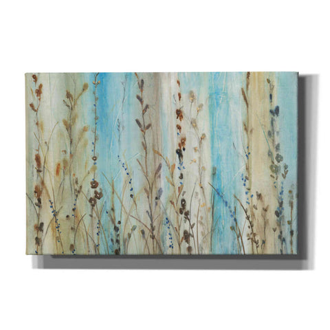 Image of 'Ombre Floral II' by Tim O'Toole, Canvas Wall Art