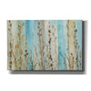 'Ombre Floral II' by Tim O'Toole, Canvas Wall Art