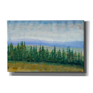 'Pine Tops I' by Tim O'Toole, Canvas Wall Art