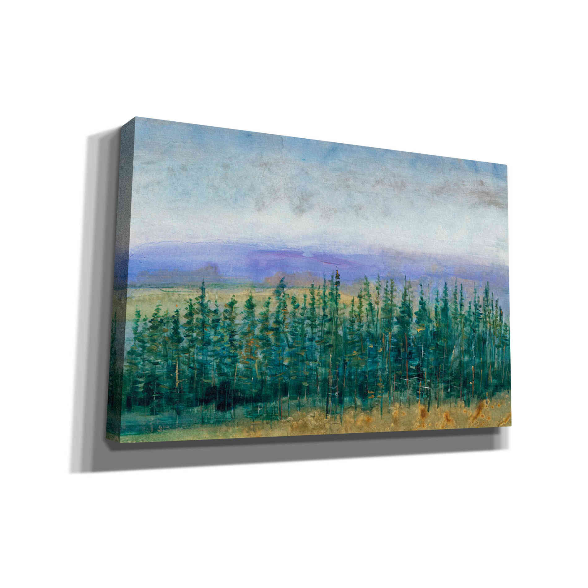 'Pine Tops II' by Tim O'Toole, Canvas Wall Art
