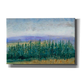 'Pine Tops II' by Tim O'Toole, Canvas Wall Art