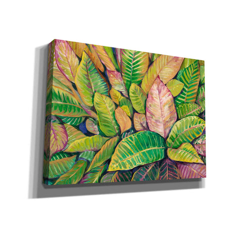 Image of 'Tropical Close Up I' by Tim O'Toole, Canvas Wall Art
