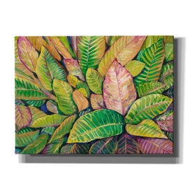 'Tropical Close Up I' by Tim O'Toole, Canvas Wall Art