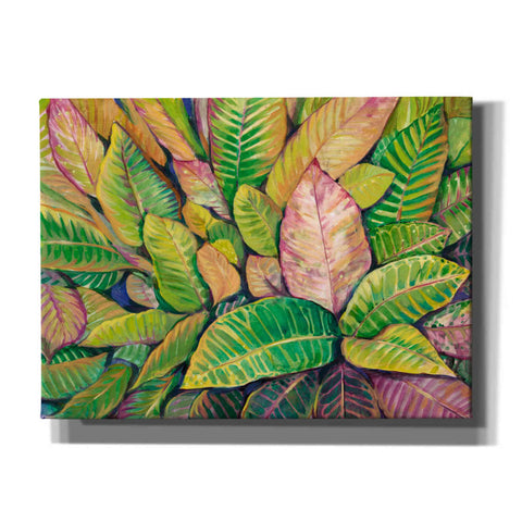 Image of 'Tropical Close Up I' by Tim O'Toole, Canvas Wall Art