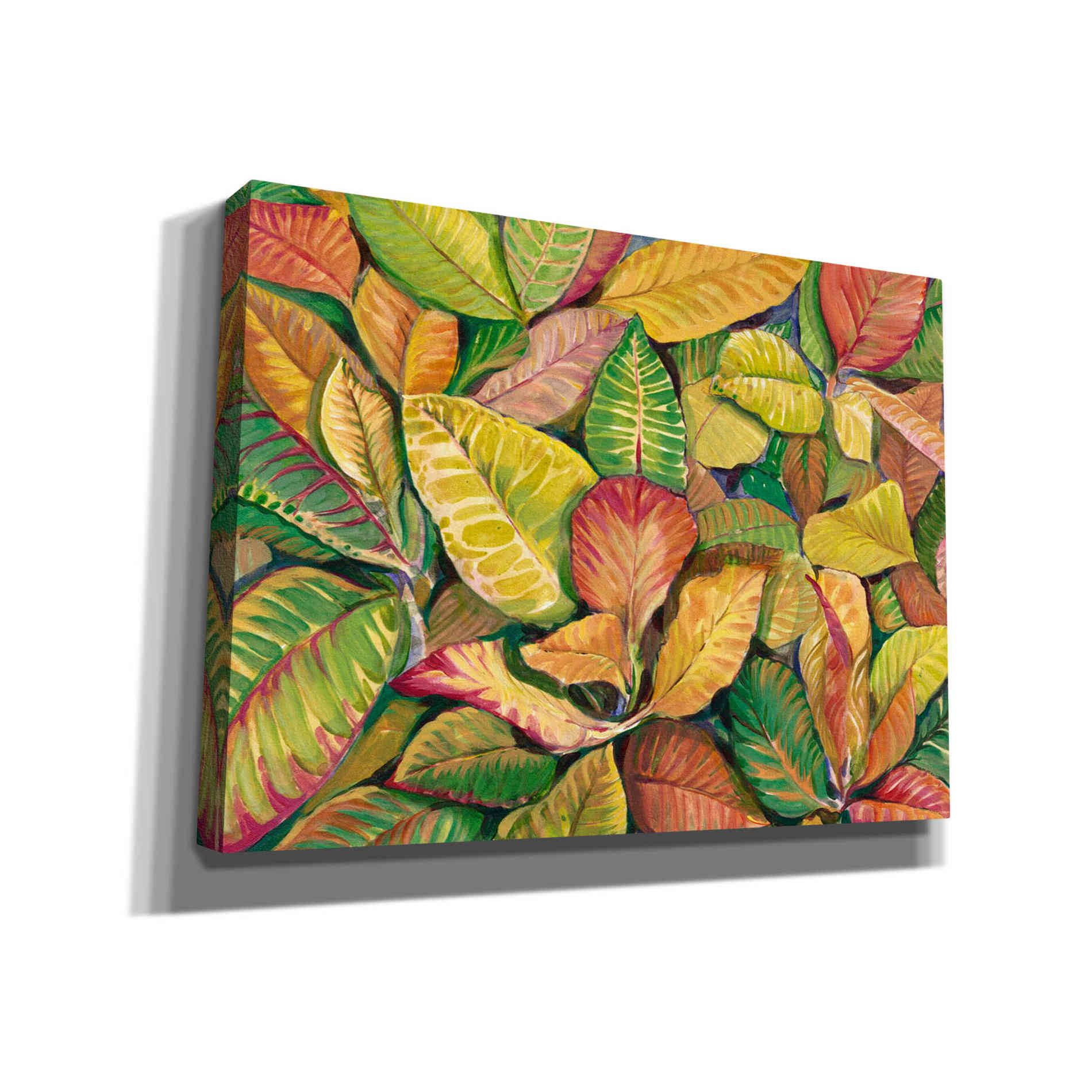 'Tropical Close Up II' by Tim O'Toole, Canvas Wall Art