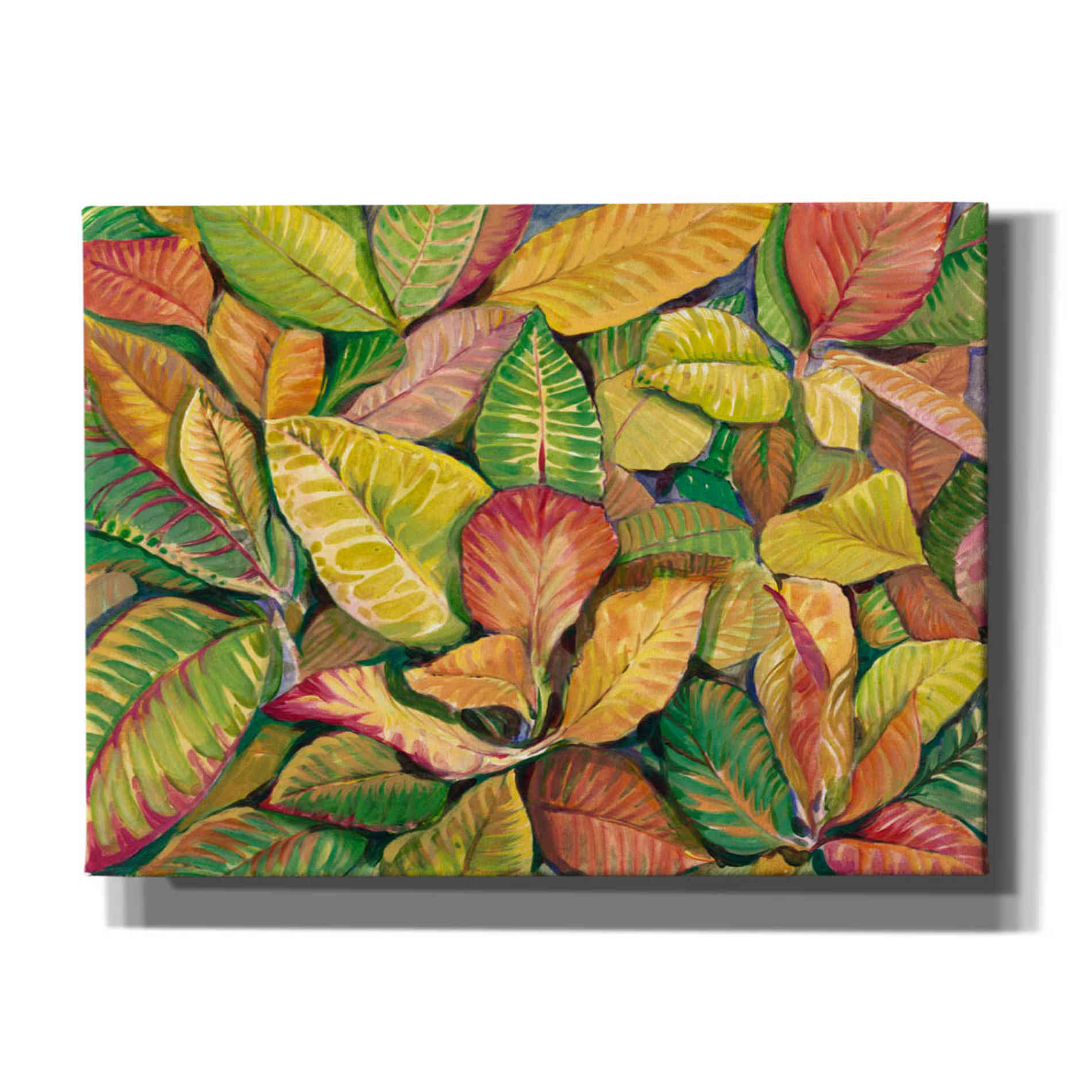 'Tropical Close Up II' by Tim O'Toole, Canvas Wall Art
