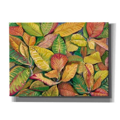 Image of 'Tropical Close Up II' by Tim O'Toole, Canvas Wall Art