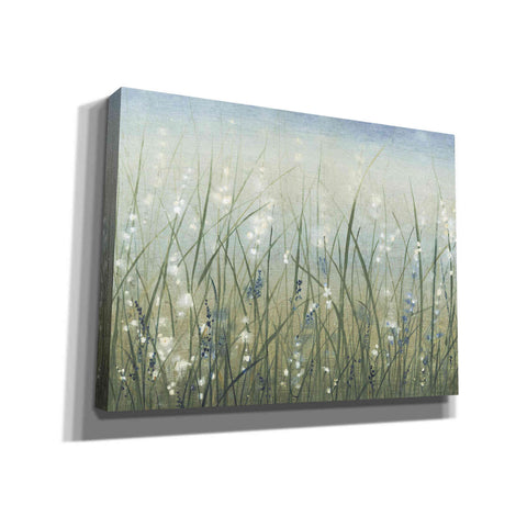 Image of 'Bliss I' by Tim O'Toole, Canvas Wall Art
