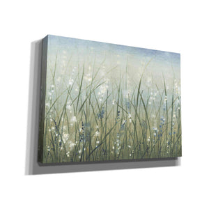 'Bliss I' by Tim O'Toole, Canvas Wall Art