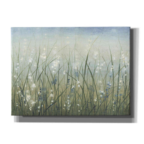 Image of 'Bliss I' by Tim O'Toole, Canvas Wall Art