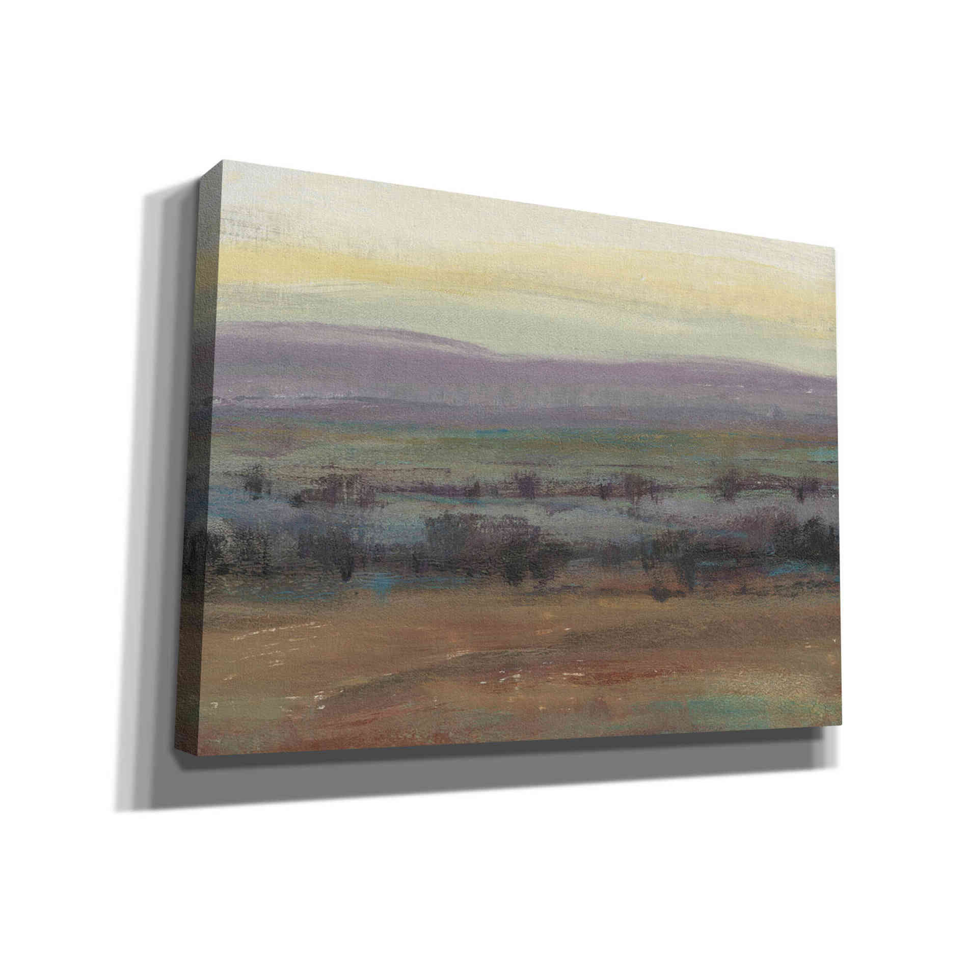 'Fast Fading Light I' by Tim O'Toole, Canvas Wall Art
