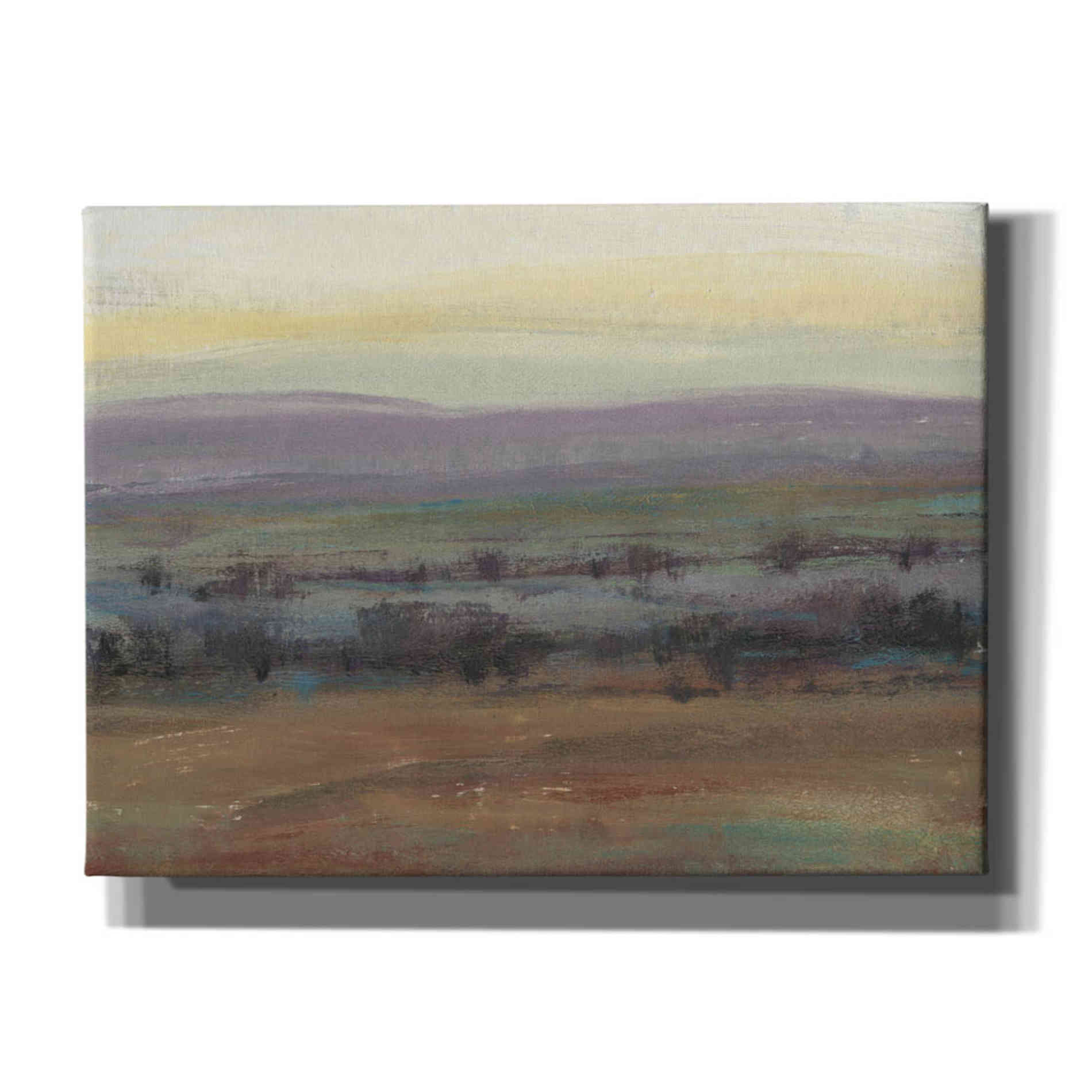 'Fast Fading Light I' by Tim O'Toole, Canvas Wall Art