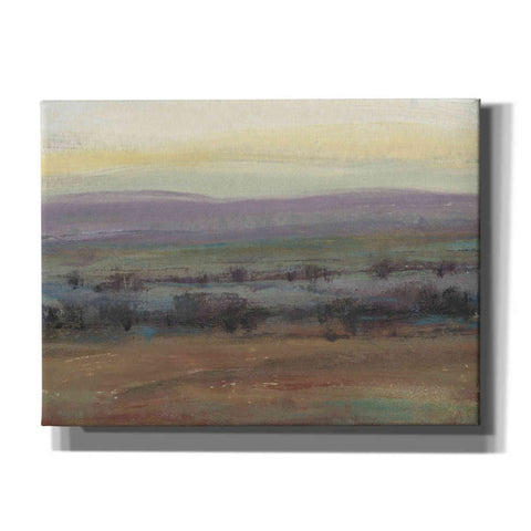 Image of 'Fast Fading Light I' by Tim O'Toole, Canvas Wall Art