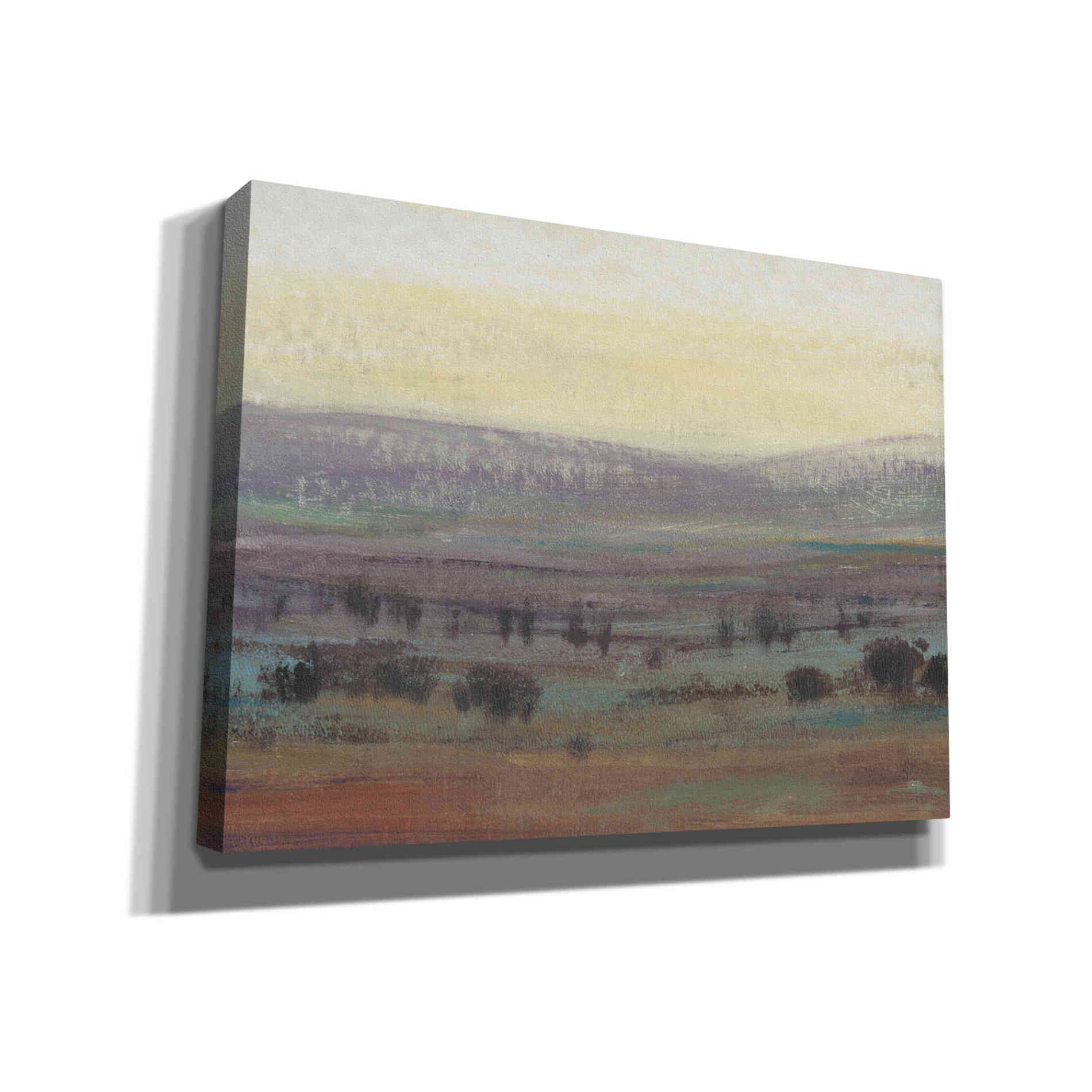 'Fast Fading Light II' by Tim O'Toole, Canvas Wall Art
