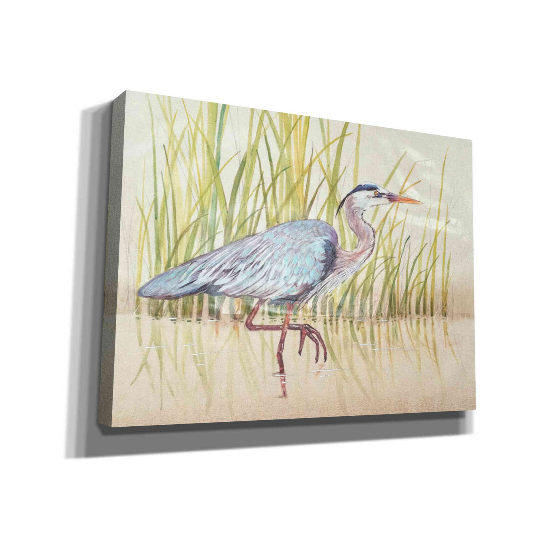 'Heron & Reeds I' by Tim O'Toole, Canvas Wall Art