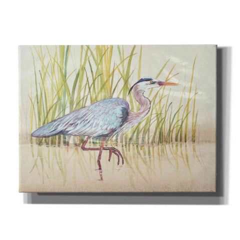 Image of 'Heron & Reeds I' by Tim O'Toole, Canvas Wall Art