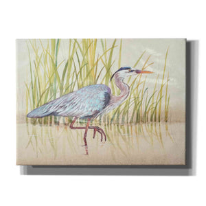 'Heron & Reeds I' by Tim O'Toole, Canvas Wall Art
